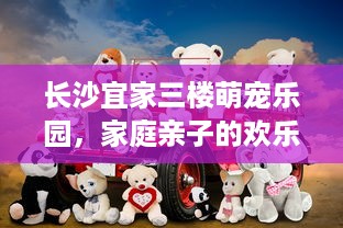 长沙宜家三楼萌宠乐园，家庭亲子的欢乐天地