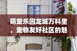 萌宠乐园龙城万科里，宠物友好社区的魅力与细节