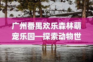 广州番禺欢乐森林萌宠乐园—探索动物世界的奇妙之旅