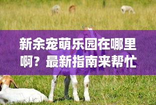 新余宠萌乐园在哪里啊？最新指南来帮忙！