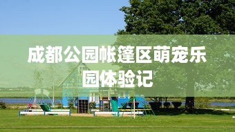 成都公园帐篷区萌宠乐园体验记