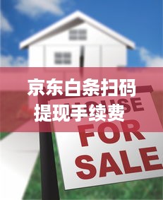 京东白条扫码提现手续费 揭秘京东白条扫码提现手续费，费用明细、案例解析及省钱攻略
