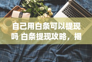 自己用白条可以提现吗 白条提现攻略，揭秘自己用白条能否提现的秘密！