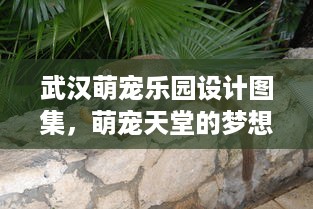 武汉萌宠乐园设计图集，萌宠天堂的梦想实现