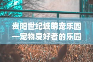 贵阳世纪城萌宠乐园—宠物爱好者的乐园