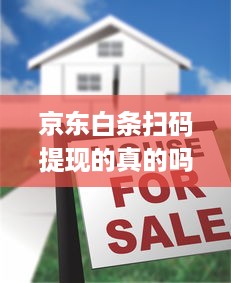 京东白条扫码提现的真的吗 揭秘京东白条扫码提现，真的靠谱吗？案例分析告诉你真相
