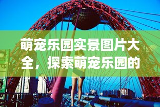 萌宠乐园实景图片大全，探索萌宠乐园的魅力与欢乐