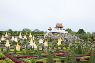 漫花庄园旅游攻略萌宠乐园
