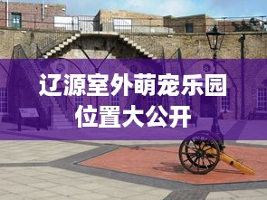 辽源室外萌宠乐园位置大公开