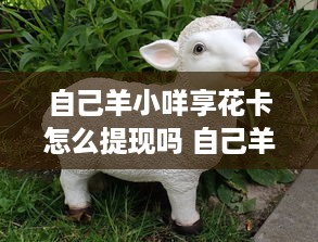 自己羊小咩享花卡怎么提现吗 自己羊小咩享花卡提现攻略，轻松变现，让你的羊毛变现金！