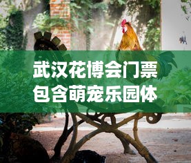 武汉花博会门票包含萌宠乐园体验