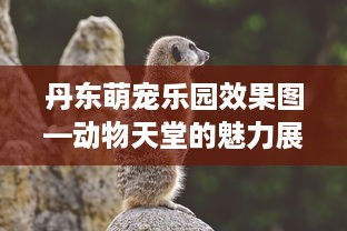 丹东萌宠乐园效果图—动物天堂的魅力展现