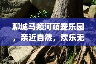 聊城马颊河萌宠乐园，亲近自然，欢乐无限