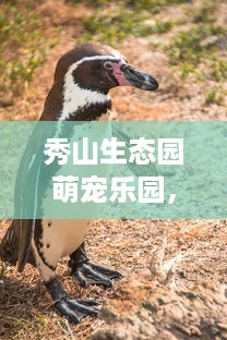 秀山生态园萌宠乐园，与动物零距离的欢乐世界