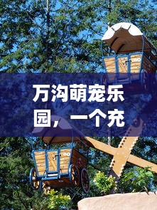万沟萌宠乐园，一个充满爱与欢乐的地方