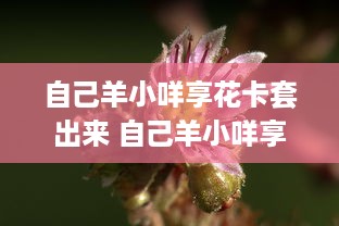 自己羊小咩享花卡套出来 自己羊小咩享花卡套出来—揭秘个性化信用卡的魅力