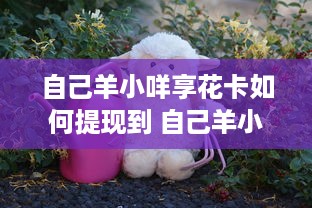 自己羊小咩享花卡如何提现到 自己羊小咩享花卡提现攻略，轻松变现，让你的羊毛变现金！