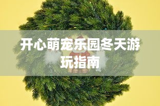开心萌宠乐园冬天游玩指南