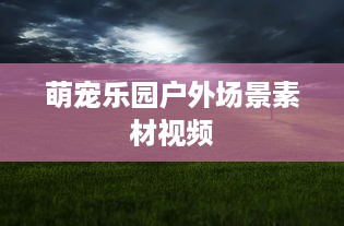 萌宠乐园户外场景素材视频