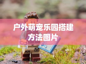 户外萌宠乐园搭建方法图片