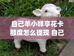 自己羊小咩享花卡额度怎么提现 自己羊小咩享花卡额度怎么提现？轻松操作指南！