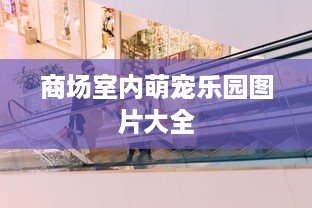 商场室内萌宠乐园图片大全