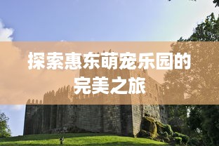探索惠东萌宠乐园的完美之旅