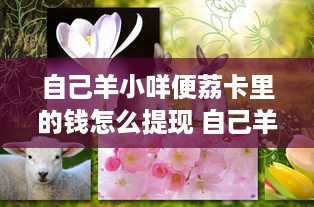 自己羊小咩便荔卡里的钱怎么提现 自己羊小咩便荔卡里的钱怎么提现？手把手教你轻松操作！