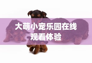 大萌小宠乐园在线观看体验
