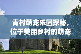 青村萌宠乐园探秘，位于美丽乡村的萌宠乐园