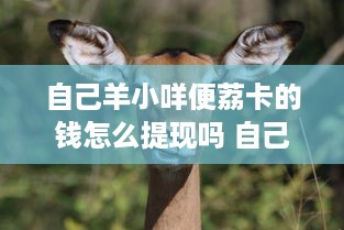 自己羊小咩便荔卡的钱怎么提现吗 自己羊小咩便荔卡的钱怎么提现？手把手教你轻松操作！