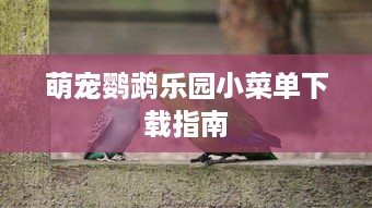 萌宠鹦鹉乐园小菜单下载指南