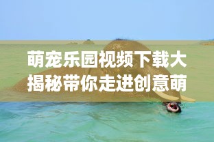 萌宠乐园视频下载大揭秘带你走进创意萌宠世界
