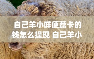 自己羊小咩便荔卡的钱怎么提现 自己羊小咩便荔卡的钱怎么提现？手把手教你轻松操作！