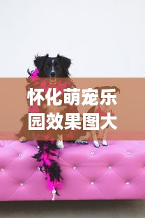 怀化萌宠乐园效果图大全—打造梦幻宠物王国