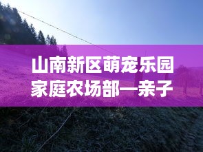 山南新区萌宠乐园家庭农场部—亲子共融，快乐成长的绿色天地