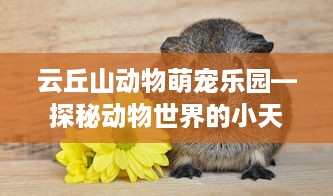 云丘山动物萌宠乐园—探秘动物世界的小天地