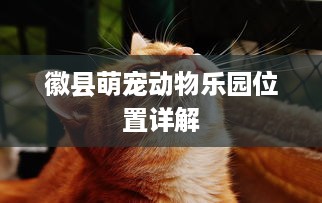 徽县萌宠动物乐园位置详解
