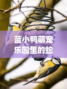 蓝小鸭萌宠乐园里的蛇
