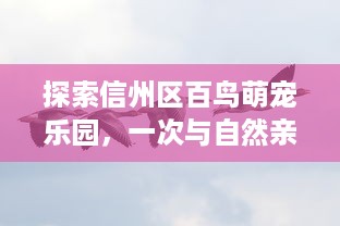 探索信州区百鸟萌宠乐园，一次与自然亲密接触的奇妙之旅