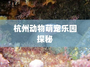 杭州动物萌宠乐园探秘