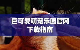 巨可爱萌宠乐园官网下载指南