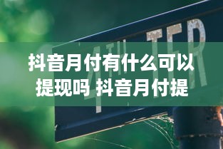 抖音月付有什么可以提现吗 抖音月付提现攻略，揭秘月付收益如何变现