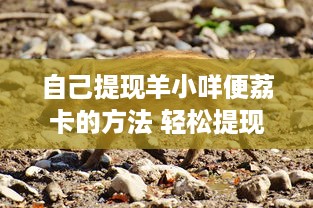 自己提现羊小咩便荔卡的方法 轻松提现羊小咩便荔卡，这些方法让你轻松到账！