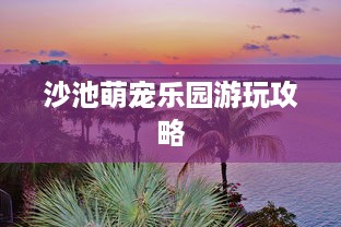 沙池萌宠乐园游玩攻略