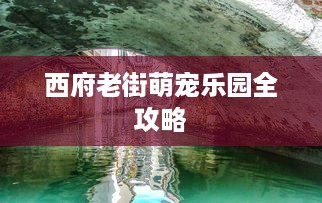 西府老街萌宠乐园全攻略