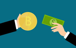 京东白条如何提现呢 京东白条提现攻略，轻松操作，资金到账不是梦！