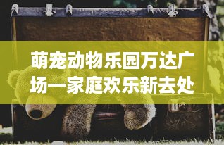 萌宠动物乐园万达广场—家庭欢乐新去处