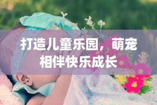 打造儿童乐园，萌宠相伴快乐成长