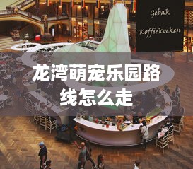 龙湾萌宠乐园路线怎么走